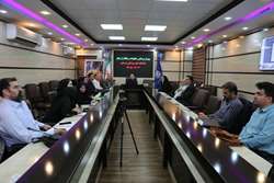 وبینار کشوری  نظام ارجاع و پزشک خانواده برگزار شد